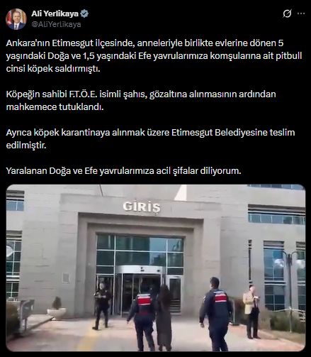 İki küçük çocuğa dehşeti yaşatan pitbull cinsi köpeğin sahibi tutuklandı