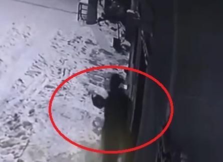 Mahalleye inen kurtları, elinde çaydanlıkla koşarak uzaklaştırdı