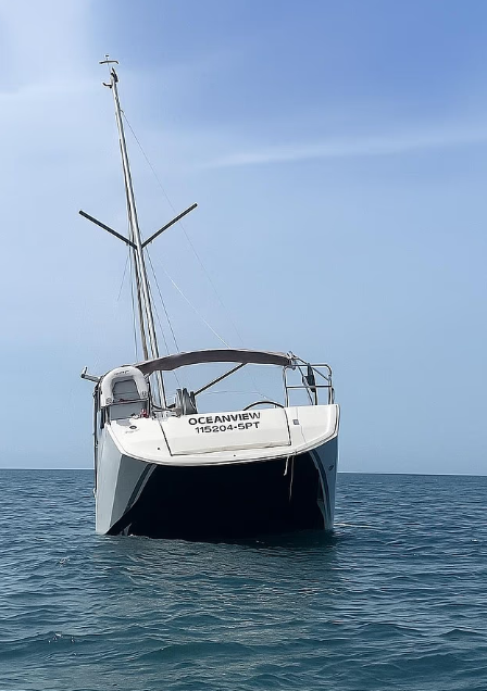 Katil balinalar lüks turist yatını batırdı! Mürettebat canını zor kurtardı