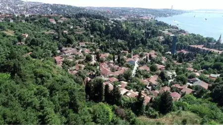 Kıskanmamak elde değil! Boğaz'ın yanı başında köy hayatı yaşıyorlar