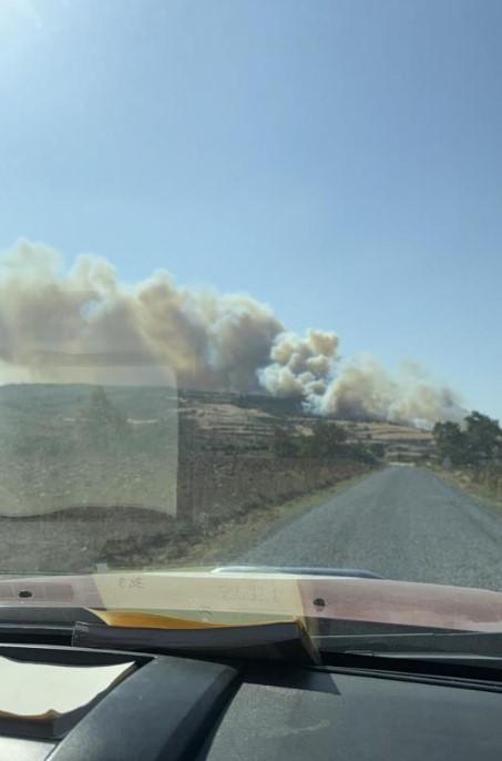 Çanakkale'deki yangın