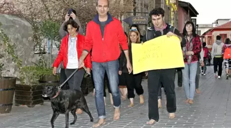 Kedilerin Zehirlenmesine İsyan Eden Hayvanseverlerden Çıplak Ayaklı Eylem