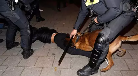 Hollanda'da Polis Köpeğinin Isırdığı Hüseyin Kurt Türkiye'de