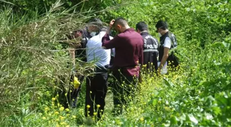 Piknik Yaparken Toprağa Gömülü İnsan İskeleti Buldular