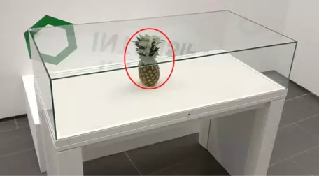 Şaka İçin Sergiye Bırakılan Ananas, Sanat Eseri Diye Cam Vitrine Alındı