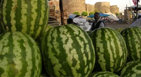 Diyarbakır Karpuzu Aslında Meksika'dan GDO'lu Çekirdeklerden Üretiliyormuş