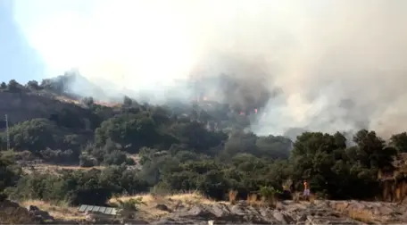 Bu Sefer de Bodrum'da Yangın! Alevler Yerleşim Alanlarına Yaklaşırken Söndürüldü