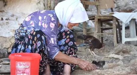 Depremde Yıkılan Evine Değil Ölen Civcivlerine Ağladı