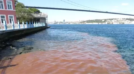 İstanbul'da Manzara Bu Yıl da Değişmedi! Boğaz Kan Gölüne Döndü