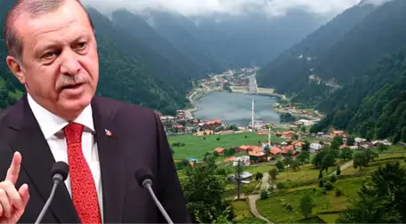 Erdoğan'ın Talimatının Ardından Uzungöl'de Yıkımlar Başlıyor