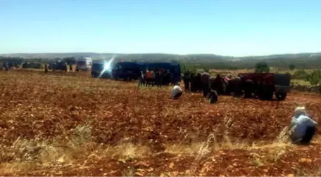 Adıyaman'da Dehşet! Cinnet Getirip Ailesinden 5 Kişiyi Öldürdü