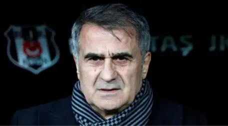 Fikret Orman, Şenol Güneş'in Ayrılmasının Ardından Bilic'e Teklif Götürecek