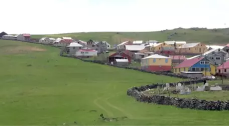 Giresun'daki 400 Yıllık Hacı Abdullah Duvarı, yaban hayvanlarına karşı yapılmış