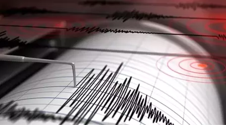 Endonezya'da 7,3 büyüklüğünde deprem meydana geldi