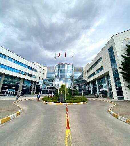 Kuğu emojili ilaç oyunu! Kazancın yarısına ortak olan doktorlar hakkında soruşturma