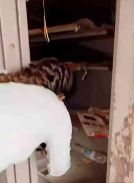 Açık arttırmadan satın aldığı kasanın içinden çıkan şeyler yüzünden polisi aramak zorunda kaldı