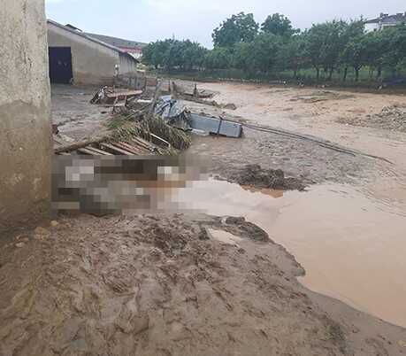 Elazığ'da Sağanak ve Dolu Etkili Oldu; 200 Küçükbaş Hayvan Öldü