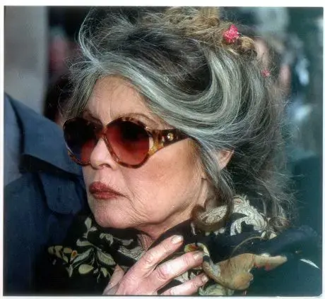 بازیگر افسانه‌ای بریژیت باردو در 91 سالگی درگذشت