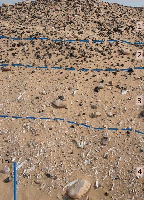 5.000 Yıl önce yaşamış uygarlığın kalıntıları Rub' al-Khali çölünde bulundu