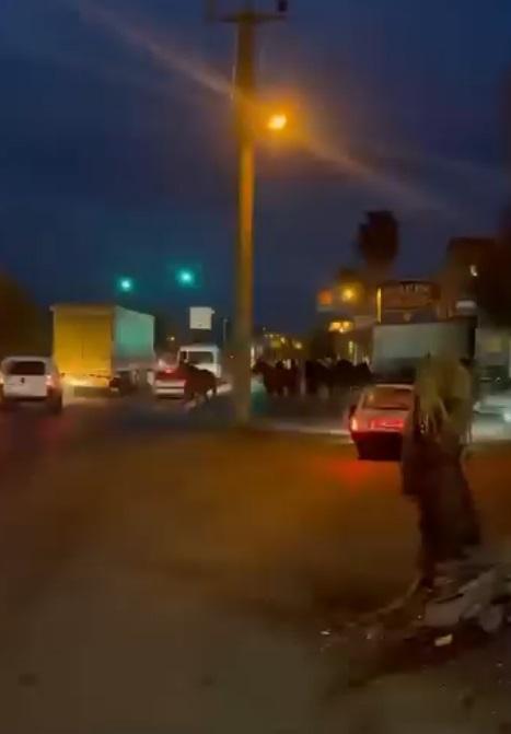 Bir dönem Türkiye'nin en zengin iş adamıydı! Çiftliğindeki yarış atları kaçtı