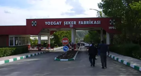 Çorum Şeker Fabrikasını Safi, Yozgat Şeker Fabrikasını Doğuş Aldı