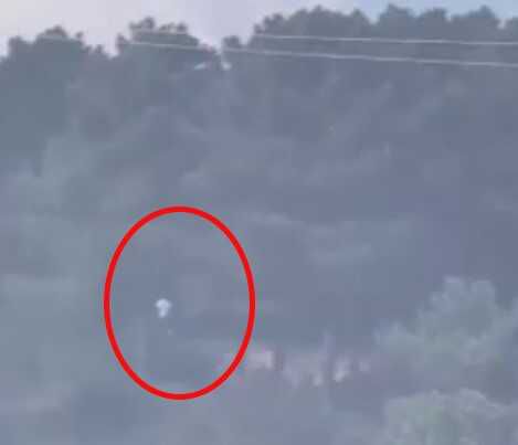 Sultangazi Kent Ormanı'nda Yangın Çıktı, Kundaklama İddiası