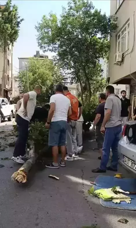 Üzerine ağaç devrilen İbrahim Yıldız'ın sağlık durumu ile ilgili açıklama geldi