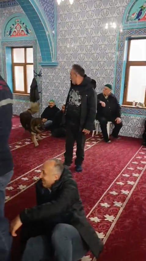 Camiye giren sokak köpeği, cemaatin arasında dolaştı