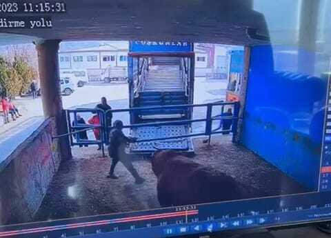 Amasya'da Mezbaha Çalışanı Boğanın Saldırısı Sonucu Hayatını Kaybetti