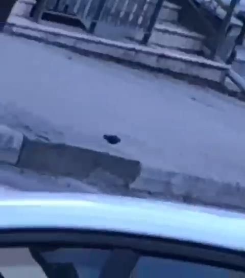 Kaldırımda el bombası bulundu