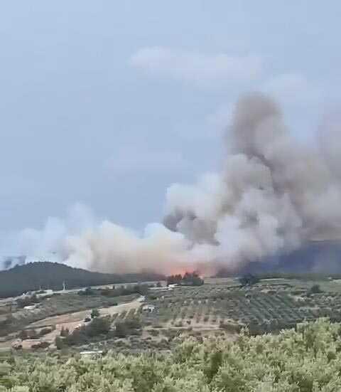 Bursa'da 15 Saattir Devam Eden Orman Yangını Söndürme Çalışmaları