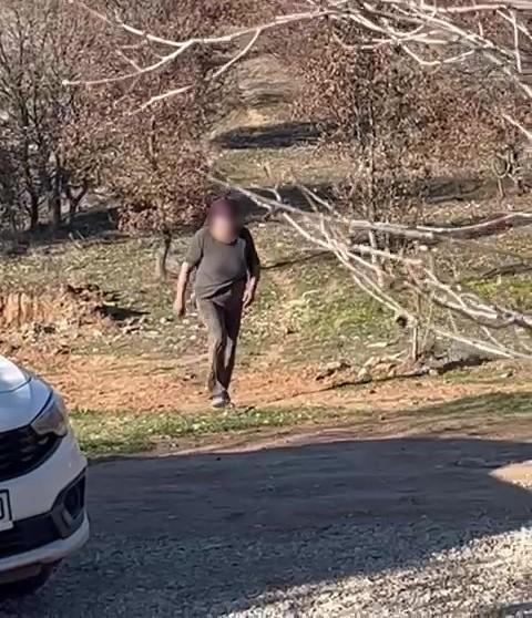 Sözde barınakta dehşet görüntüler: Köpekler açıktan birbirini yedi