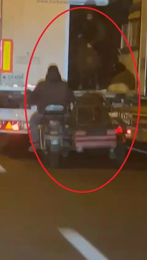 Motosikletin sepetine konulan koyunlar
