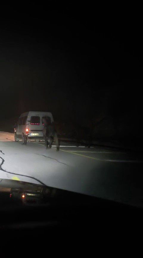 Atları kamyonetin arkasına bağlayıp koşturdu