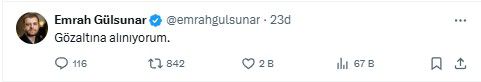 Sokak Kedisi kanalının kurucusu Ebru Uzun Oruç ve akademisyen Emrah Gülsunar gözaltına alındı