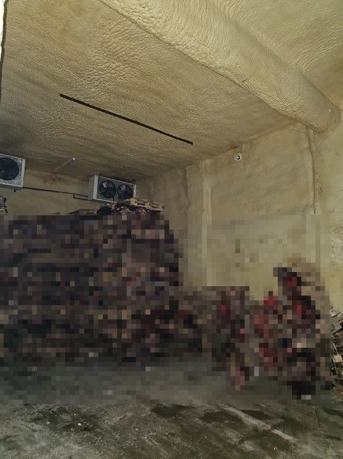 Bursa'da boş tamirhanede çürümüş hayvan kafaları bulundu