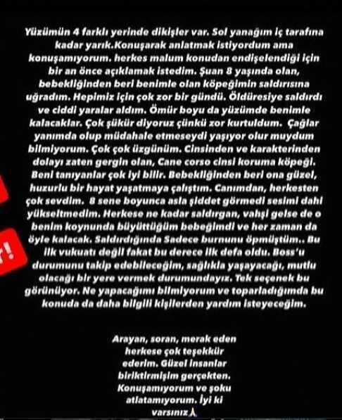 Sosyal Medya Fenomeni Cansu Yeğin, köpeğinin saldırısına uğradı