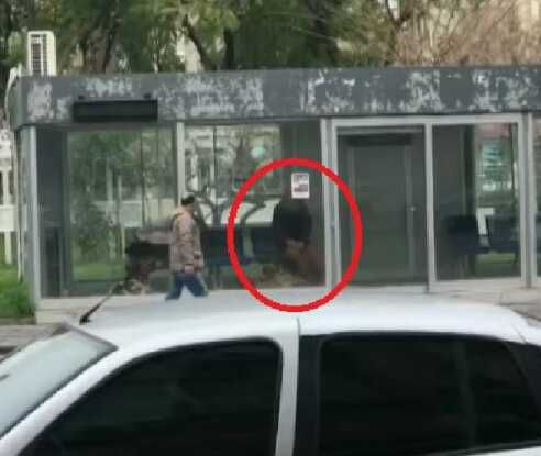 Sokakta yaşayan adamın otobüs durağında cansız bedeni bulundu! Talihsiz adamın olaydan önce darbedildiği ortaya çıktı