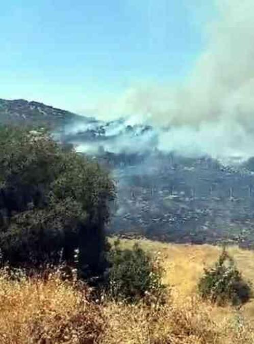 MARAŞ'TA YANGIN SON DAKİKA! Maraş-Dulkadiroğlu ilçesinde orman yangını söndürüldü mü, son durum nedir? Kahramanmaraş'ta orman yangını nerede çıktı?
