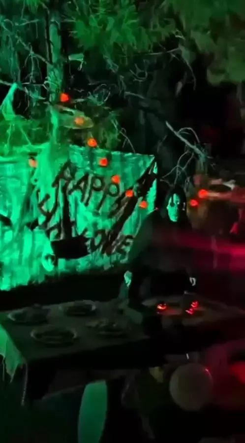 Ormanlık alanda düzenlenen gece etkinliğinden görüntü