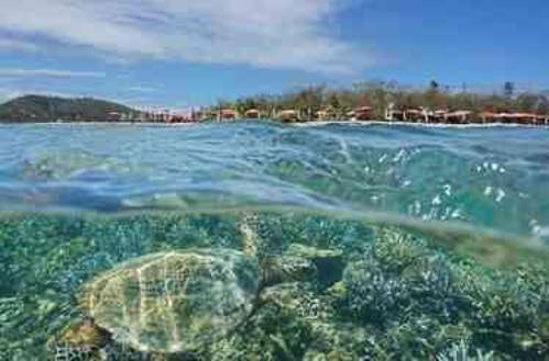 Yeni Kaledonya hangi ülkeye bağlı? Yeni Kaledonya hakkında bilinmesi gerekenler