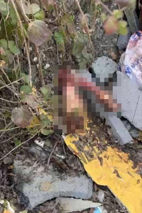 Sakarya'da çalılık alana hayvan kemiği attığı tespit edilen 2 şüpheli yakalandı