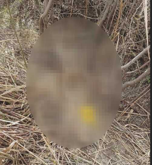 Ankara'da kafası koparılmış 45 günlük ceset bulundu