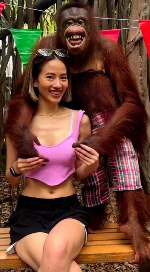 Hayvanat bahçesine giden genç turist orangutanın tacizine uğradı