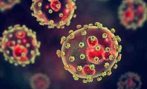 Lassa Ateşi Nedir? Nasıl Tedavi Edilir?