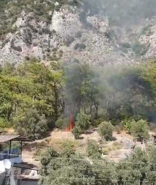 Muğla'da Orman Yangınının Çıkış Anı Kamerada