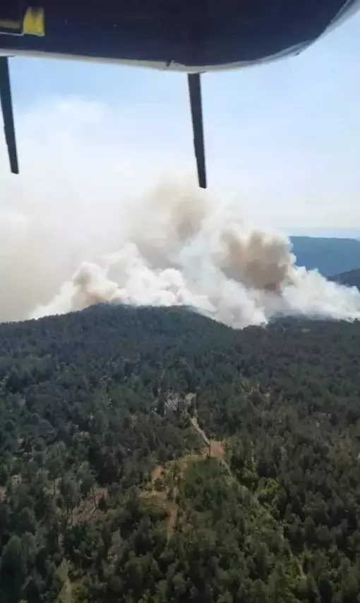Sinop'ta orman yangını! Bir köy tahliye edildi