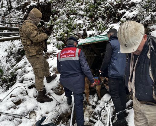 >Zonguldak'ta ruhsatsız işletilen 10 maden ocağı imha edildi