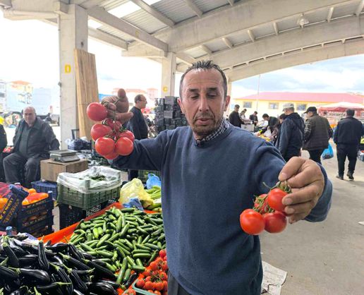 >Domates fiyatlarının yüksek olmasının sebebi soğuk hava