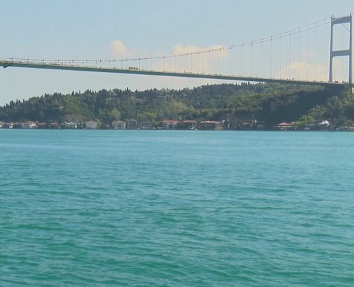 >İstanbul Boğazı'nda yunus sürprizi